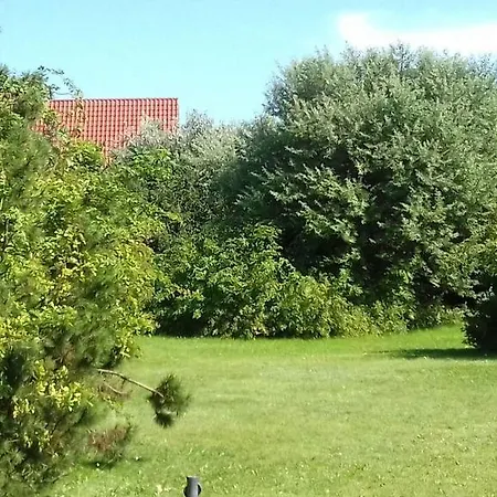 Sunshine * Zempin